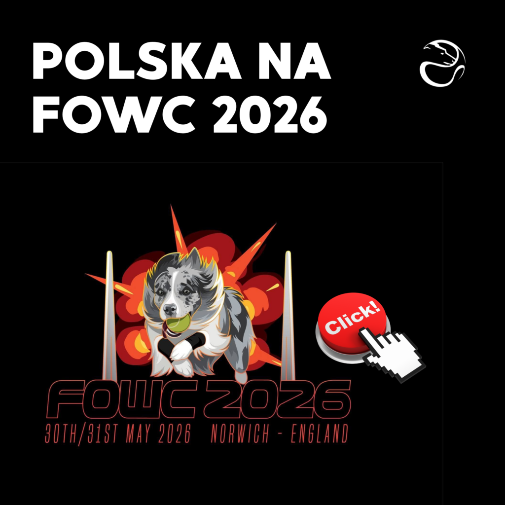 FOWC 2026!